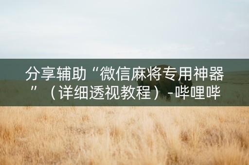 分享辅助“微信麻将专用神器”（详细透视教程）-哔哩哔哩