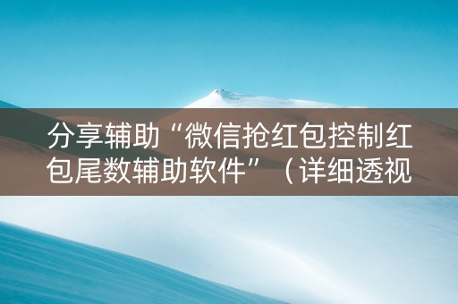 分享辅助“微信抢红包控制红包尾数辅助软件”（详细透视教程）-哔哩哔哩