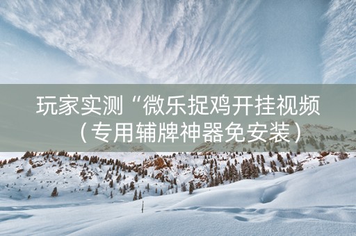 玩家实测“微乐捉鸡开挂视频（专用辅牌神器免安装）