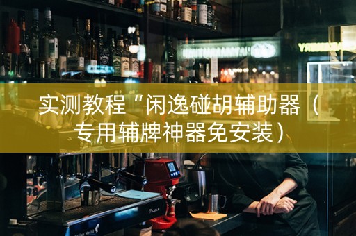 实测教程“闲逸碰胡辅助器（专用辅牌神器免安装）