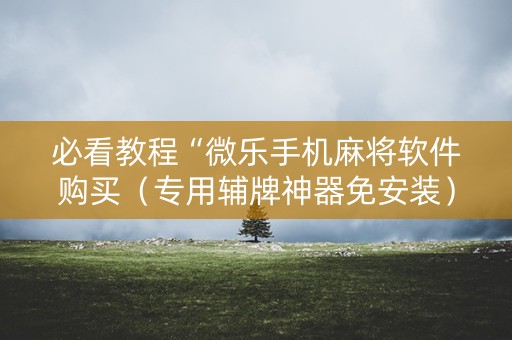 必看教程“微乐手机麻将软件购买（专用辅牌神器免安装）