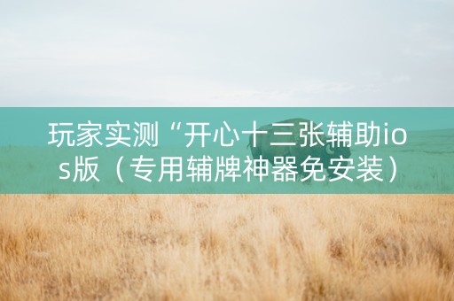 玩家实测“开心十三张辅助ios版（专用辅牌神器免安装）