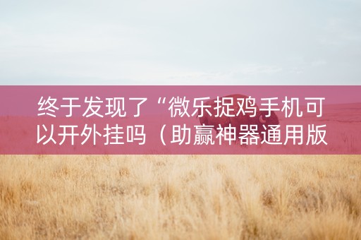 终于发现了“微乐捉鸡手机可以开外挂吗（助赢神器通用版）