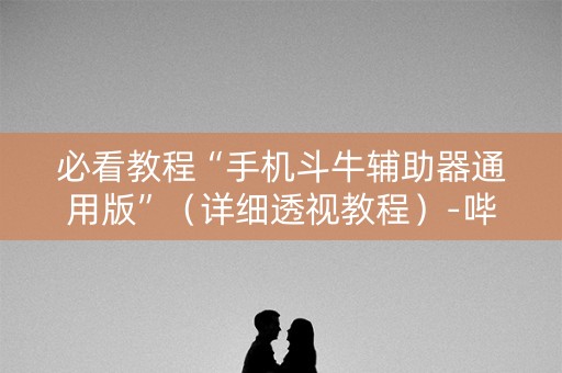 必看教程“手机斗牛辅助器通用版”（详细透视教程）-哔哩哔哩