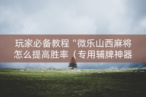玩家必备教程“微乐山西麻将怎么提高胜率（专用辅牌神器免安装）