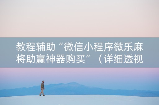 教程辅助“微信小程序微乐麻将助赢神器购买”（详细透视教程）-哔哩哔哩