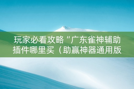 玩家必看攻略“广东雀神辅助插件哪里买（助赢神器通用版）