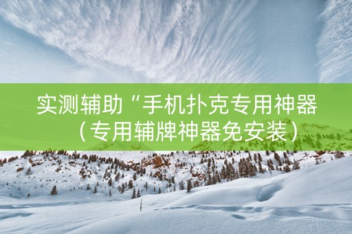 实测辅助“手机扑克专用神器（专用辅牌神器免安装）