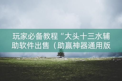 玩家必备教程“大头十三水辅助软件出售（助赢神器通用版）