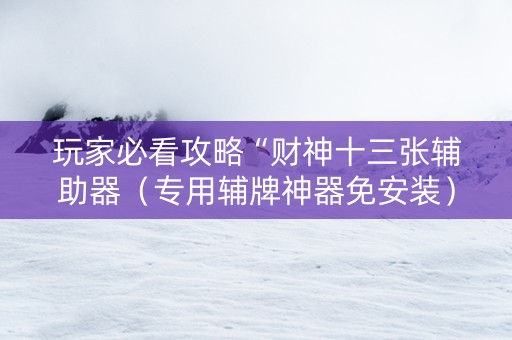 玩家必看攻略“财神十三张辅助器（专用辅牌神器免安装）