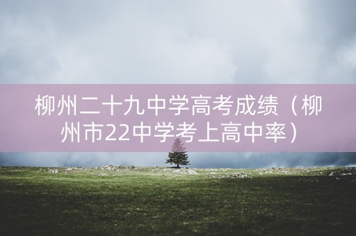 柳州二十九中学高考成绩（柳州市22中学考上高中率）