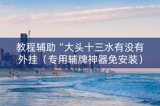 教程辅助“大头十三水有没有外挂（专用辅牌神器免安装）