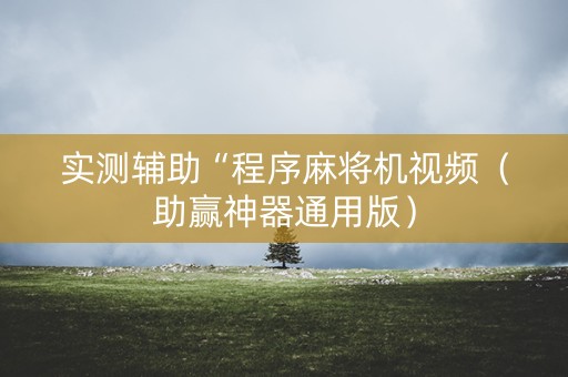 实测辅助“程序麻将机视频（助赢神器通用版）