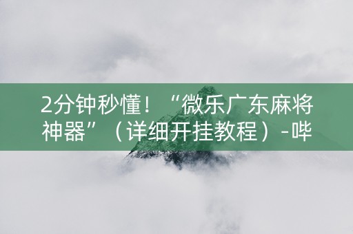 2分钟秒懂！“微乐广东麻将神器”（详细开挂教程）-哔哩哔哩
