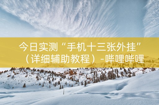 今日实测“手机十三张外挂”（详细辅助教程）-哔哩哔哩