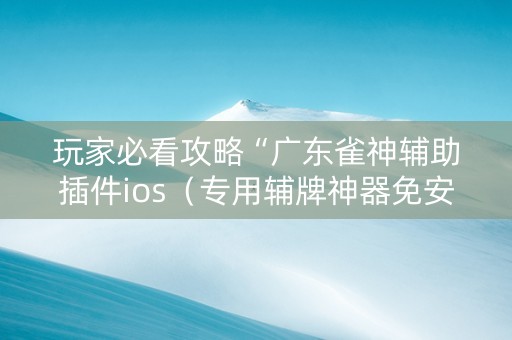 玩家必看攻略“广东雀神辅助插件ios（专用辅牌神器免安装）