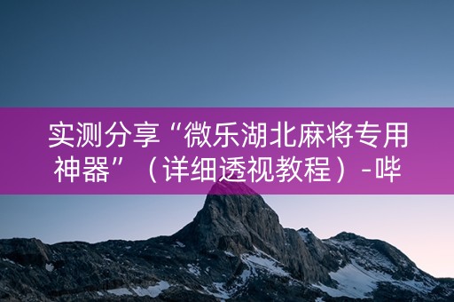 实测分享“微乐湖北麻将专用神器”（详细透视教程）-哔哩哔哩