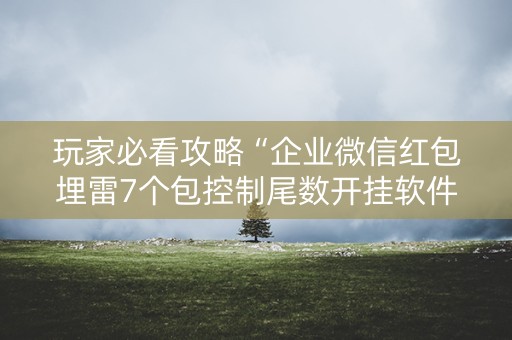 玩家必看攻略“企业微信红包埋雷7个包控制尾数开挂软件”（详细透视教程）-哔哩哔哩