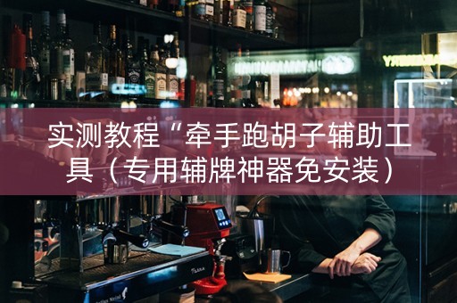 实测教程“牵手跑胡子辅助工具（专用辅牌神器免安装）