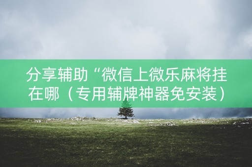 分享辅助“微信上微乐麻将挂在哪（专用辅牌神器免安装）