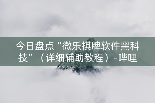今日盘点“微乐棋牌软件黑科技”（详细辅助教程）-哔哩哔哩