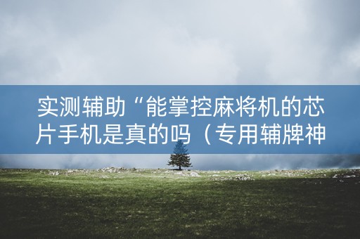 实测辅助“能掌控麻将机的芯片手机是真的吗（专用辅牌神器免安装）