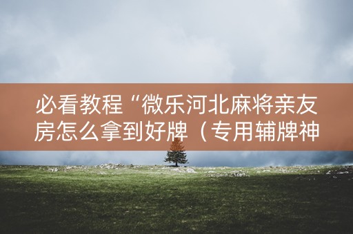 必看教程“微乐河北麻将亲友房怎么拿到好牌（专用辅牌神器免安装）