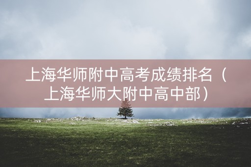上海华师附中高考成绩排名（上海华师大附中高中部）