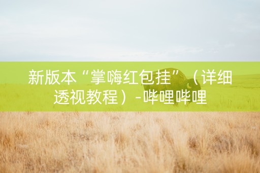 新版本“掌嗨红包挂”（详细透视教程）-哔哩哔哩