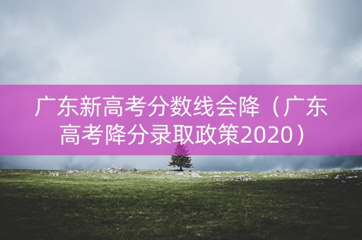 广东新高考分数线会降（广东高考降分录取政策2020）