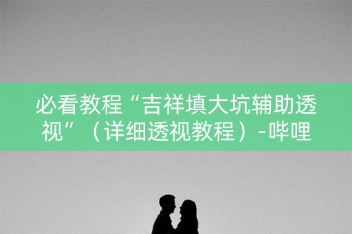 必看教程“吉祥填大坑辅助透视”（详细透视教程）-哔哩哔哩