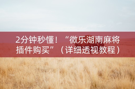 2分钟秒懂！“微乐湖南麻将插件购买”（详细透视教程）-哔哩哔哩