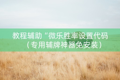 教程辅助“微乐胜率设置代码（专用辅牌神器免安装）