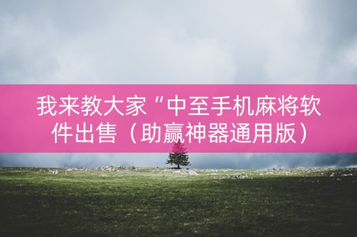 我来教大家“中至手机麻将软件出售（助赢神器通用版）
