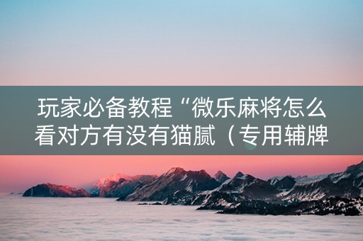 玩家必备教程“微乐麻将怎么看对方有没有猫腻（专用辅牌神器免安装）