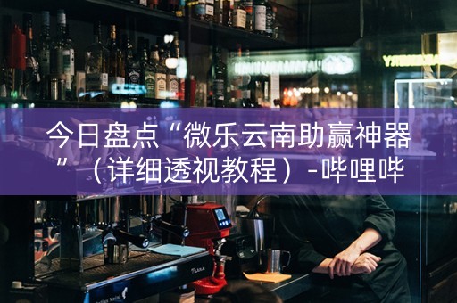 今日盘点“微乐云南助赢神器”（详细透视教程）-哔哩哔哩