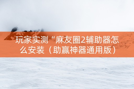 玩家实测“麻友圈2辅助器怎么安装（助赢神器通用版）