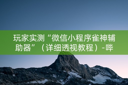 玩家实测“微信小程序雀神辅助器”（详细透视教程）-哔哩哔哩