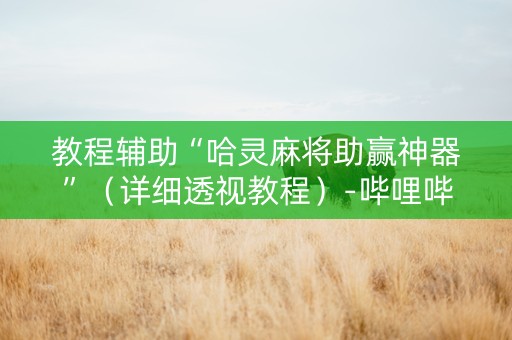 教程辅助“哈灵麻将助赢神器”（详细透视教程）-哔哩哔哩
