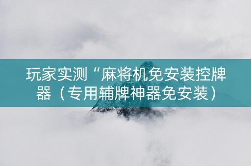 玩家实测“麻将机免安装控牌器（专用辅牌神器免安装）