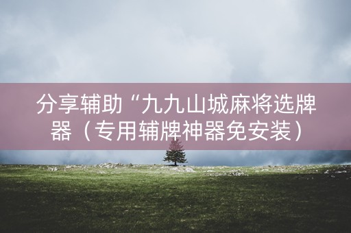 分享辅助“九九山城麻将选牌器（专用辅牌神器免安装）