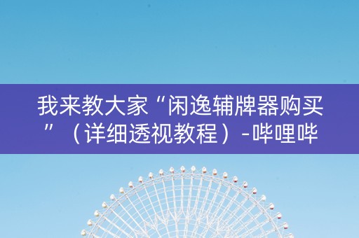 我来教大家“闲逸辅牌器购买”（详细透视教程）-哔哩哔哩