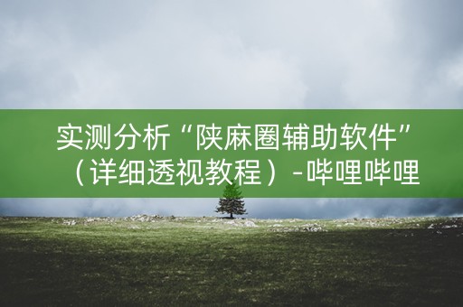 实测分析“陕麻圈辅助软件”（详细透视教程）-哔哩哔哩