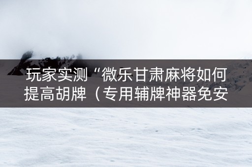 玩家实测“微乐甘肃麻将如何提高胡牌（专用辅牌神器免安装）