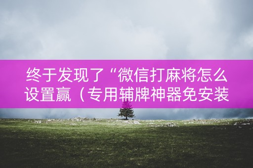 终于发现了“微信打麻将怎么设置赢（专用辅牌神器免安装）
