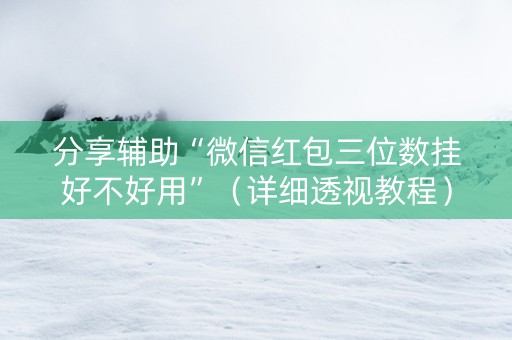 分享辅助“微信红包三位数挂好不好用”（详细透视教程）-哔哩哔哩