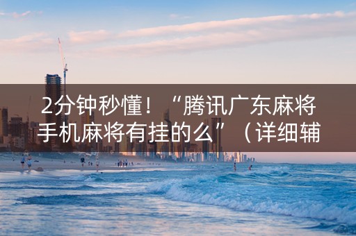 2分钟秒懂！“腾讯广东麻将手机麻将有挂的么”（详细辅助教程）-哔哩哔哩