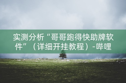 实测分析“哥哥跑得快助牌软件”（详细开挂教程）-哔哩哔哩