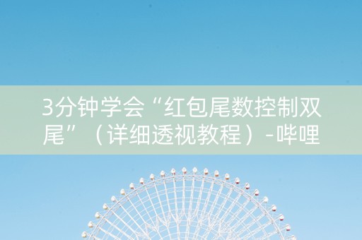 3分钟学会“红包尾数控制双尾”（详细透视教程）-哔哩哔哩