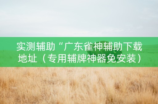实测辅助“广东雀神辅助下载地址（专用辅牌神器免安装）